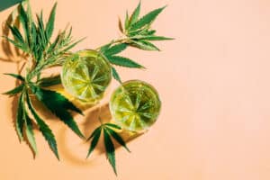 SBD hemp drink in different glass glasses, creative green hard shadow background. Rest relax energy cocktail of cannabis, soothing tea. Top view copy space